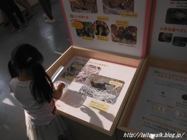 DSCF2787
