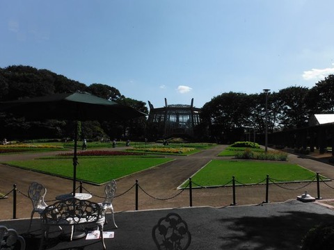 DSCF0246