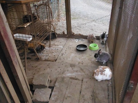 DSCF0607