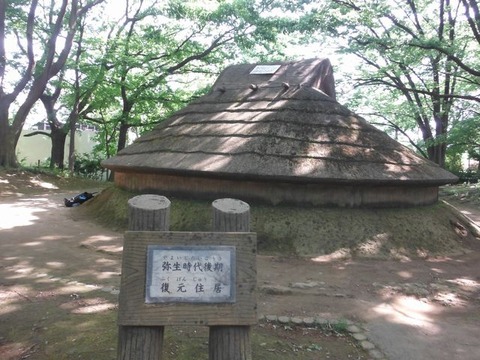 DSCF0901