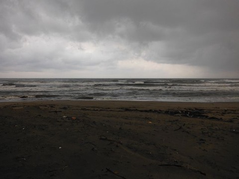 DSCF0416
