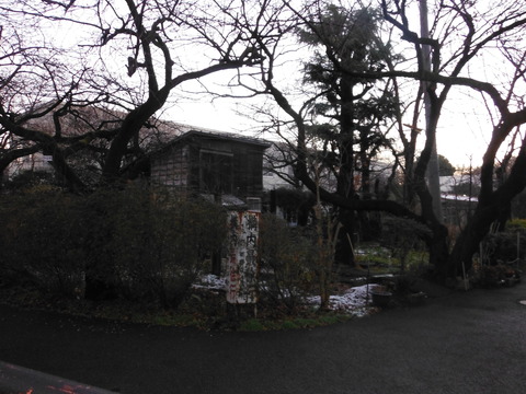 DSCF8878