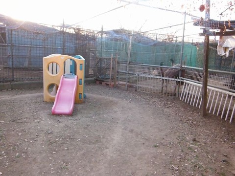 DSCF0592