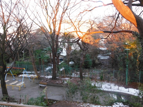 DSCF8887