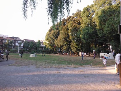 DSCF1520