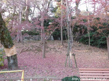 DSCF2942