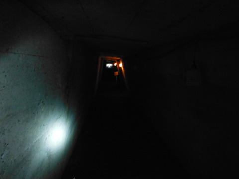 DSCF9501