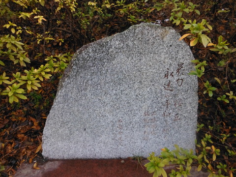 DSCF8890