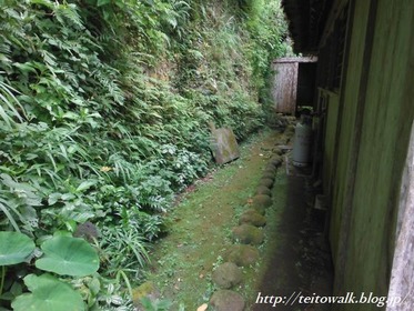 DSCF2641