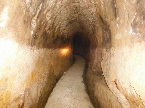 DSCF0817