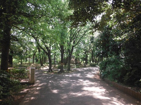 DSCF0900