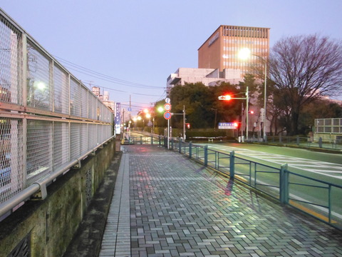 DSCF8865