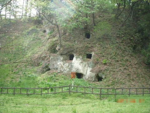 DSCN0222