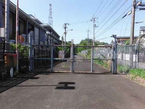 DSCF0881