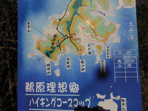 DSCF6345