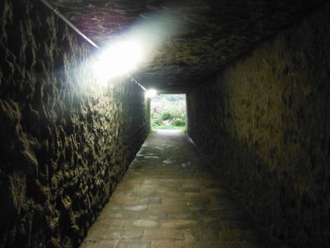DSCF5892