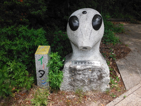 DSCF9993