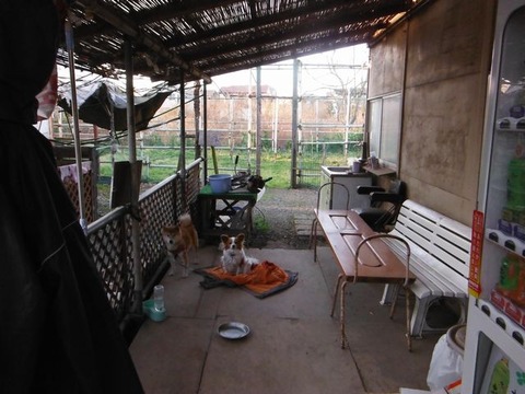 DSCF0587