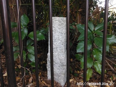 DSCF2941