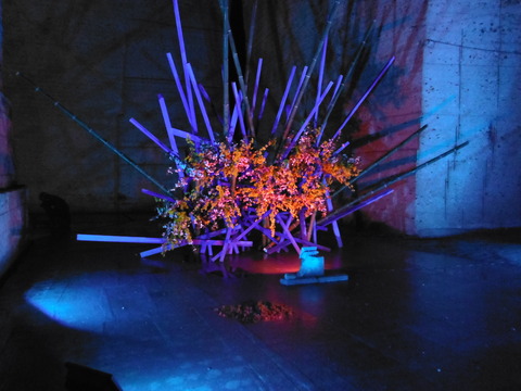 DSCF0098