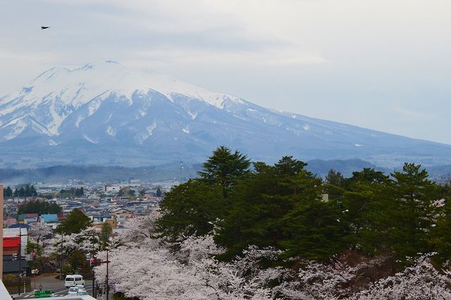 s-DSC_0696