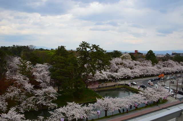 s-DSC_0699
