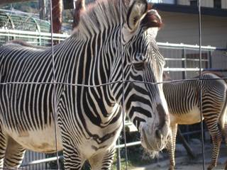DSC03357_R