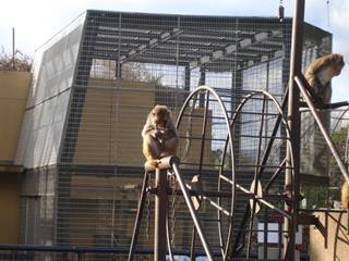 DSC03368_R