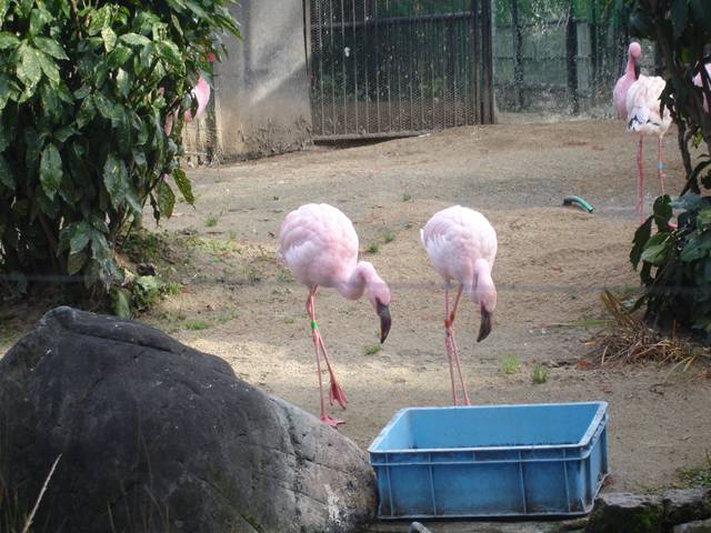DSC03456_R