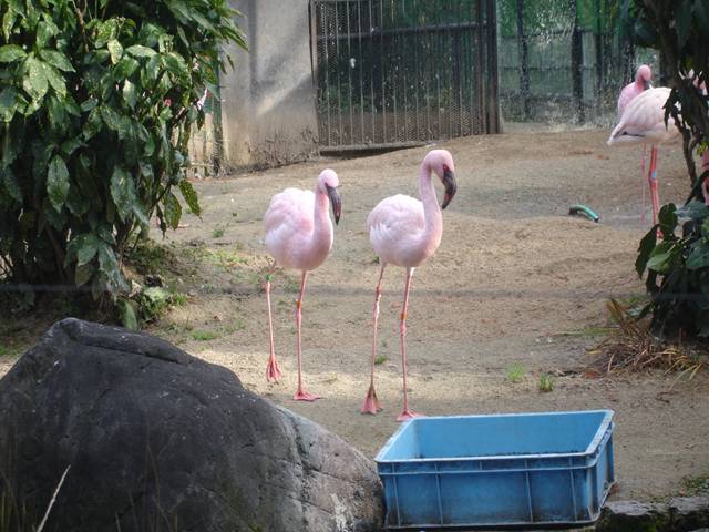 DSC03455_R