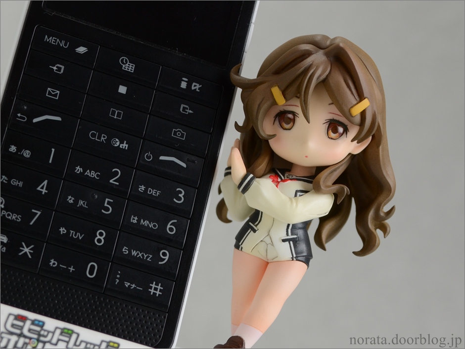pulchra_himawari(22)