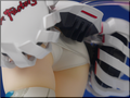 racingmiku2014(39)