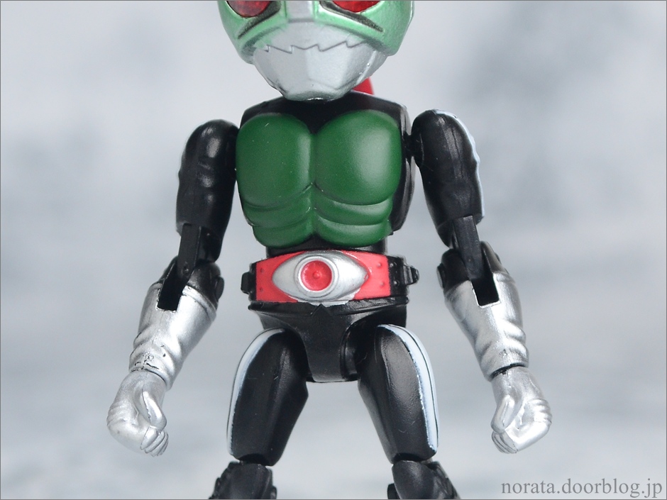 66action_kamenrider(21)