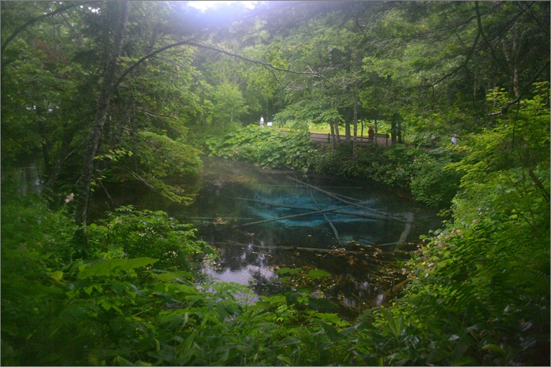 DSC_0298