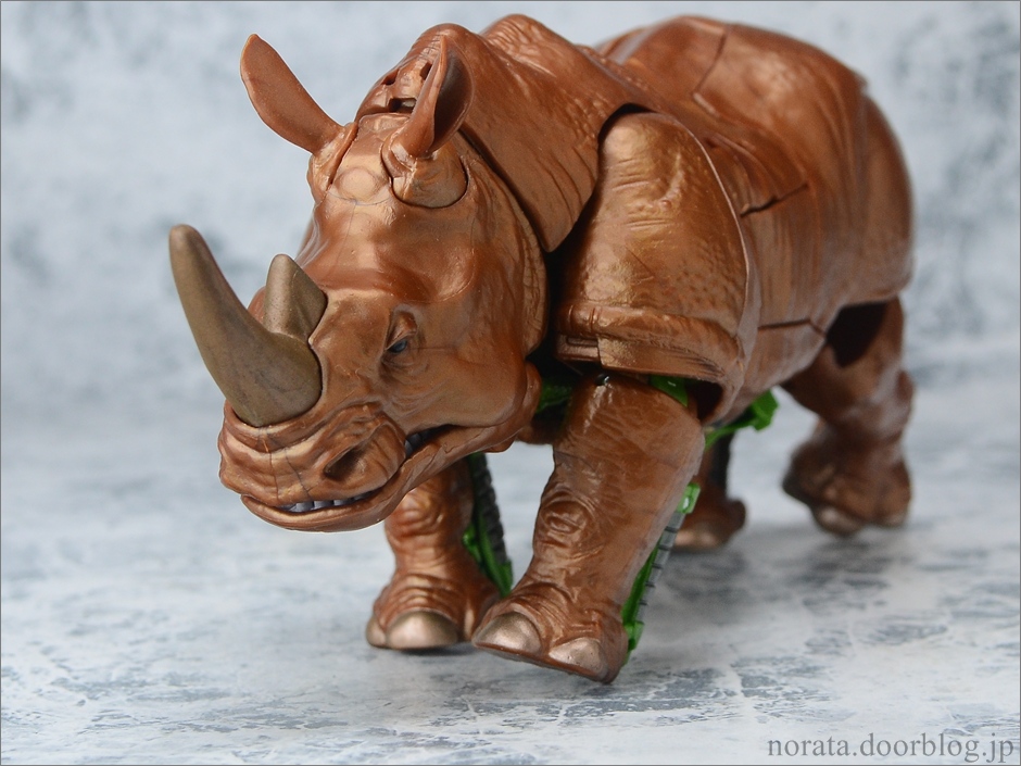 TG_rhinox(7)