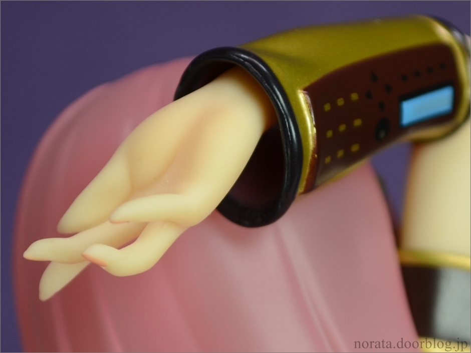 GSC_ruka(13)