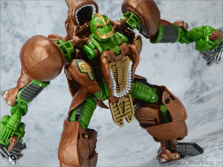 TG_rhinox(19)