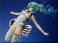 racingmiku2014(56)