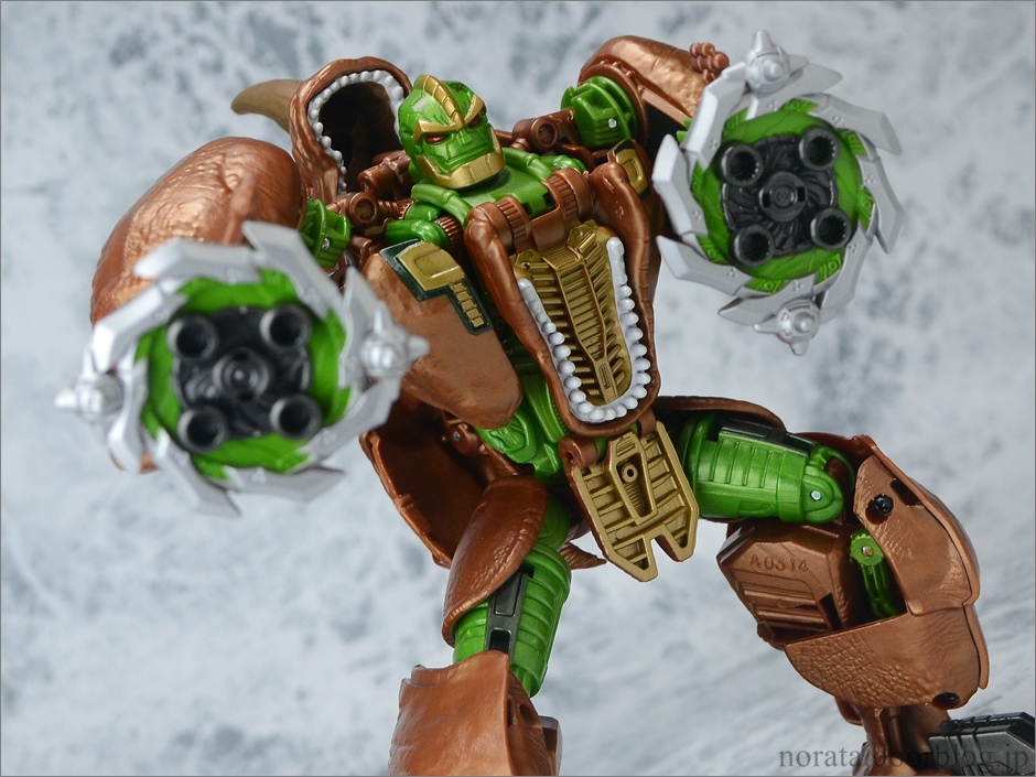 TG_rhinox(20)