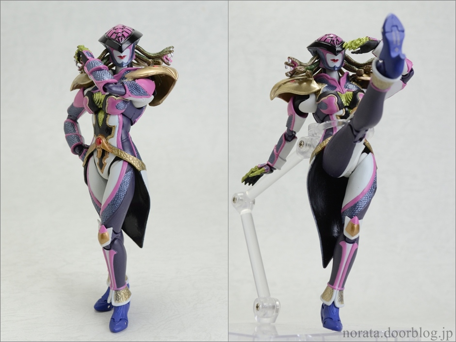 SHF_medusa(11)