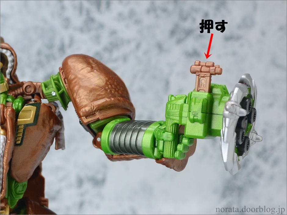 TG_rhinox(14)