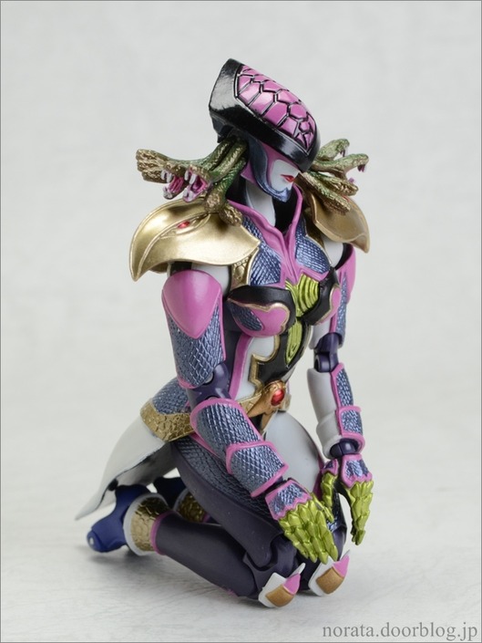 SHF_medusa(13)
