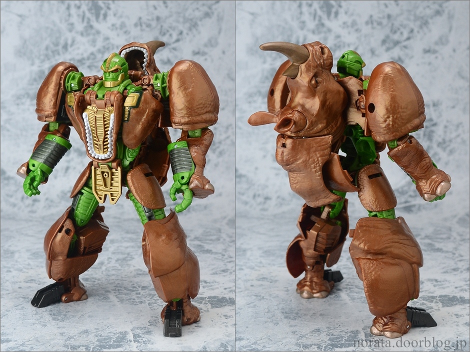 TG_rhinox(9)