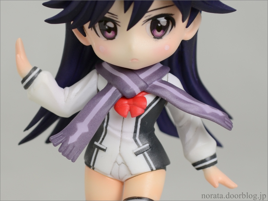 pulchra_rei(18)