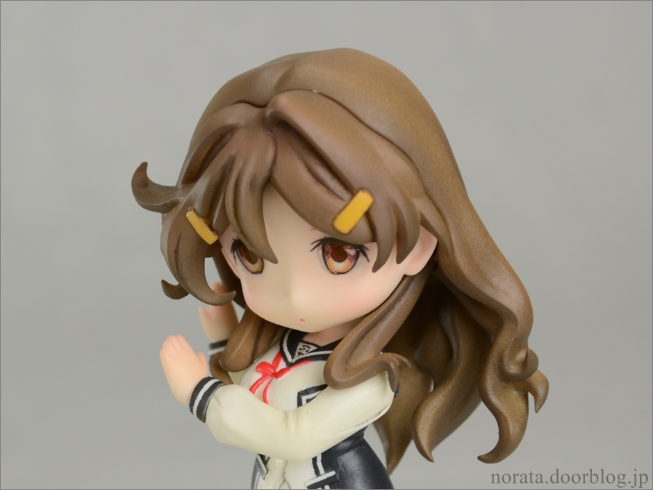 pulchra_himawari(13)