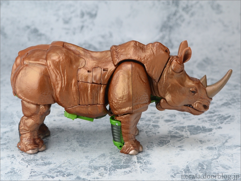 TG_rhinox(3)