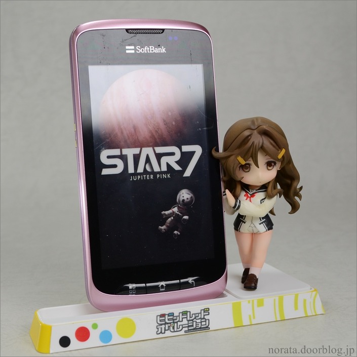 pulchra_himawari(3)