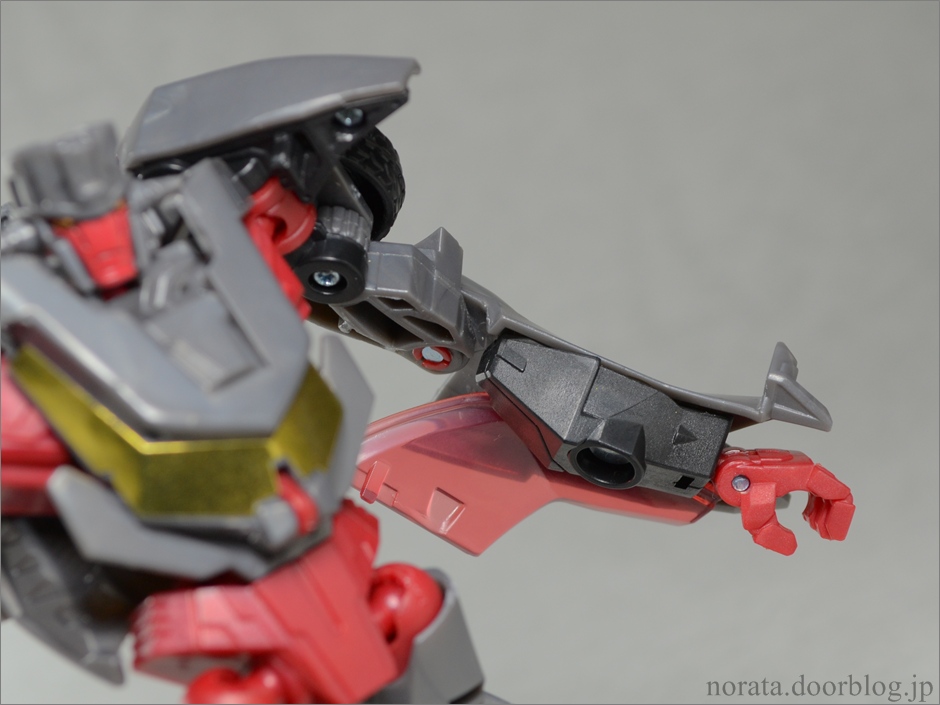 TF_AM_wildrider(14)