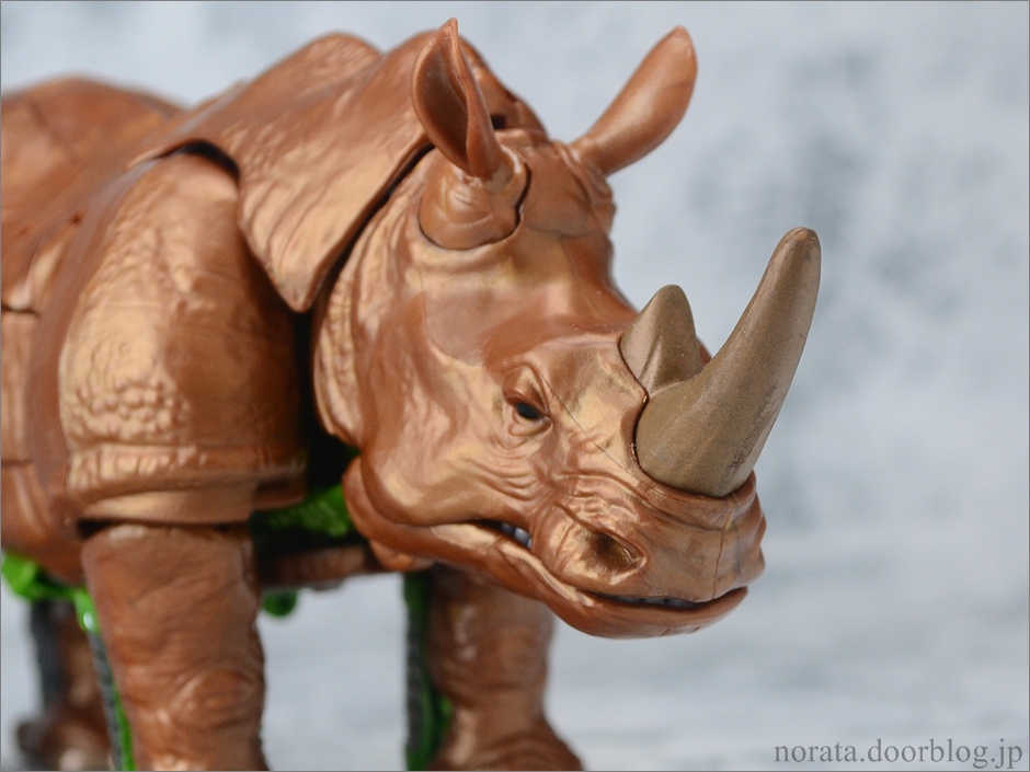 TG_rhinox(4)
