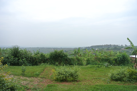 DSC_4832
